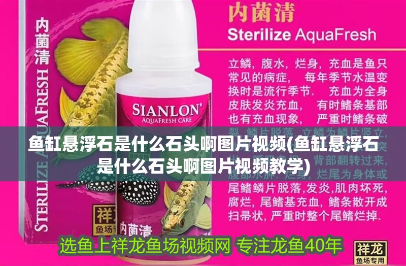 魚缸懸浮石是什么石頭啊圖片視頻(魚缸懸浮石是什么石頭啊圖片視頻教學)