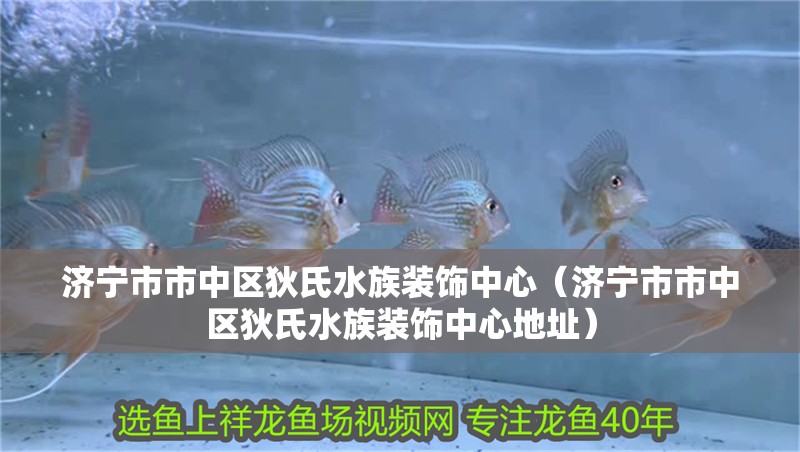 濟寧市市中區狄氏水族裝飾中心（濟寧市市中區狄氏水族裝飾中心地址）