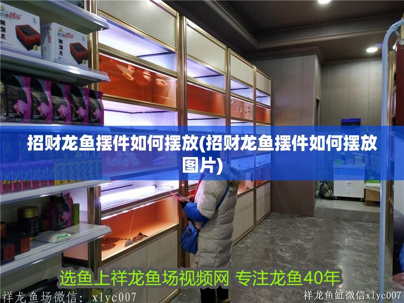 招財龍魚擺件如何擺放(招財龍魚擺件如何擺放圖片)