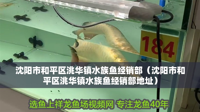 沈陽市和平區洮華鎮水族魚經銷部（沈陽市和平區洮華鎮水族魚經銷部地址）