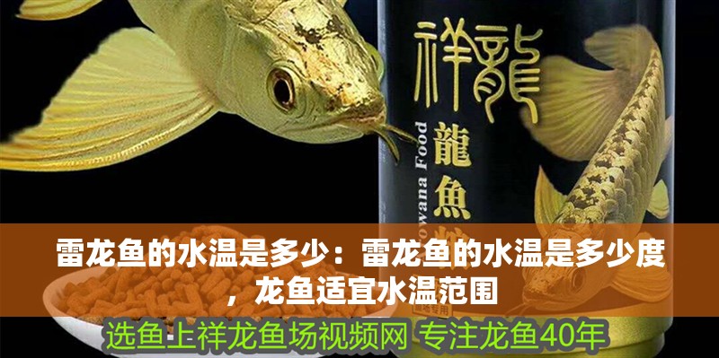 雷龍魚的水溫是多少：雷龍魚的水溫是多少度，龍魚適宜水溫范圍