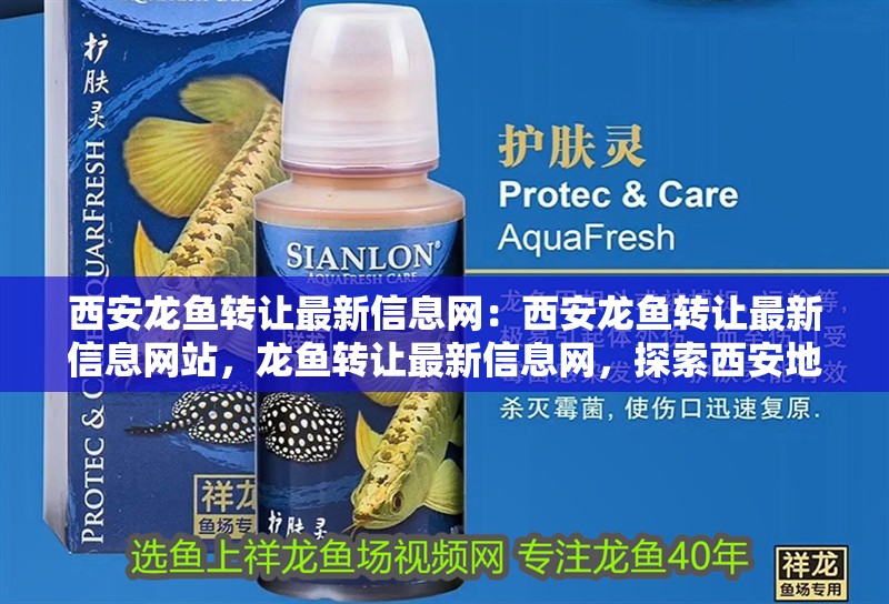 西安龍魚轉(zhuǎn)讓最新信息網(wǎng)：西安龍魚轉(zhuǎn)讓最新信息網(wǎng)站，龍魚轉(zhuǎn)讓最新信息網(wǎng)，探索西安地區(qū)龍魚交易的