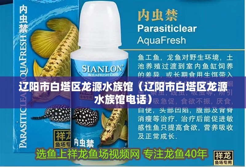 遼陽市白塔區龍源水族館（遼陽市白塔區龍源水族館電話）