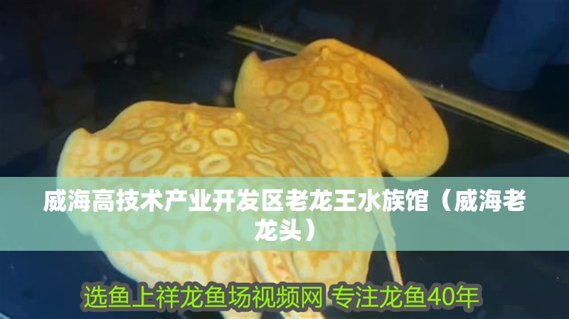 威海高技術產業開發區老龍王水族館（威海老龍頭）