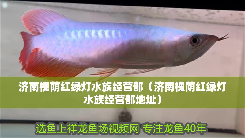 濟南槐蔭紅綠燈水族經營部（濟南槐蔭紅綠燈水族經營部地址）