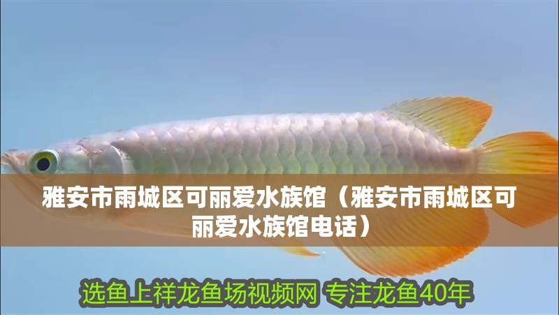雅安市雨城區(qū)可麗愛水族館（雅安市雨城區(qū)可麗愛水族館電話）