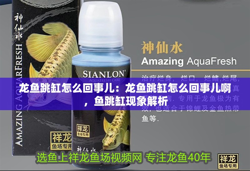 龍魚跳缸怎么回事兒：龍魚跳缸怎么回事兒啊，魚跳缸現象解析