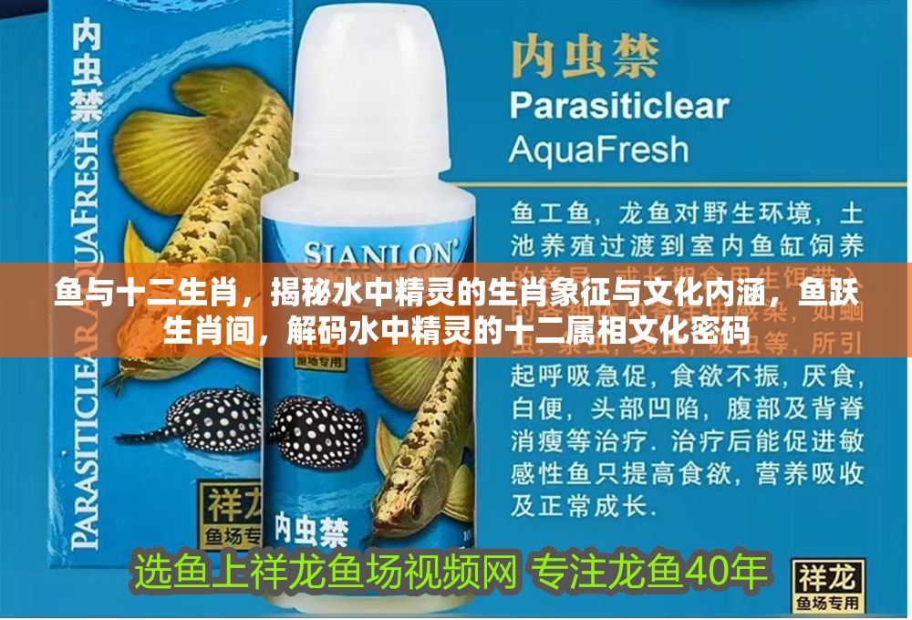 詳細閱讀:魚與十二生肖,揭秘水中精靈的生肖象征與文化內涵,魚躍生肖間,解碼水中精靈的十二屬相文化密碼 魚與十二生肖,揭秘水中精靈的生肖象征與文化內涵,魚躍生肖間,解碼水中精靈的十二屬相文化密碼