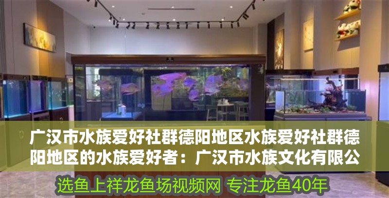 廣漢市水族愛好社群德陽地區(qū)水族愛好社群德陽地區(qū)的水族愛好者：廣漢市水族文化有限公司