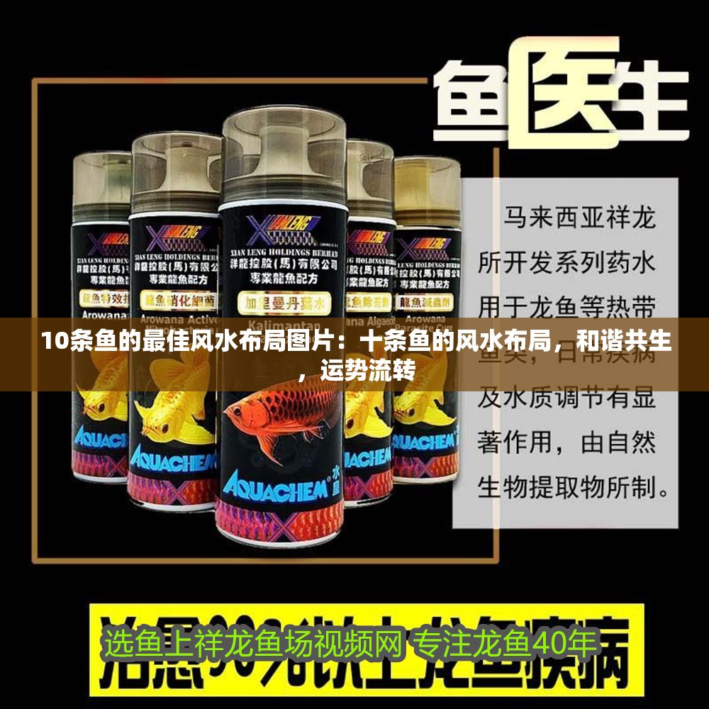 詳細(xì)閱讀:10條魚的最佳風(fēng)水布局圖片:十條魚的風(fēng)水布局,和諧共生,運(yùn)勢(shì)流轉(zhuǎn) 10條魚的最佳風(fēng)水布局圖片:十條魚的風(fēng)水布局,和諧共生,運(yùn)勢(shì)流轉(zhuǎn)