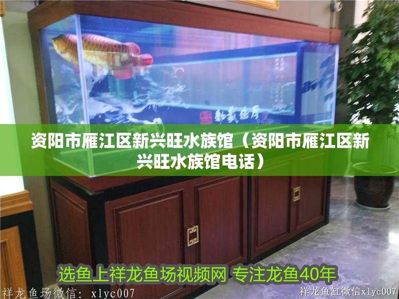 資陽市雁江區新興旺水族館（資陽市雁江區新興旺水族館電話）