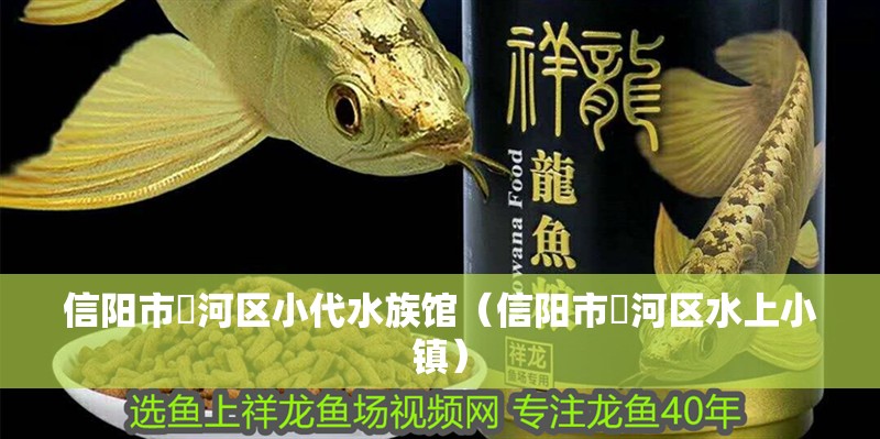 信陽市浉河區小代水族館（信陽市浉河區水上小鎮）