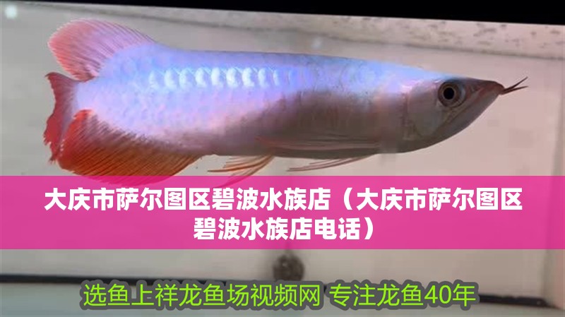 大慶市薩爾圖區(qū)碧波水族店（大慶市薩爾圖區(qū)碧波水族店電話）