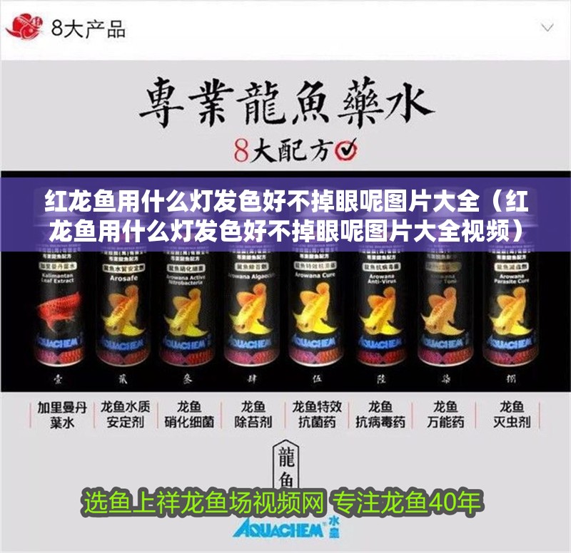 紅龍魚用什么燈發(fā)色好不掉眼呢圖片大全（紅龍魚用什么燈發(fā)色好不掉眼呢圖片大全視頻）