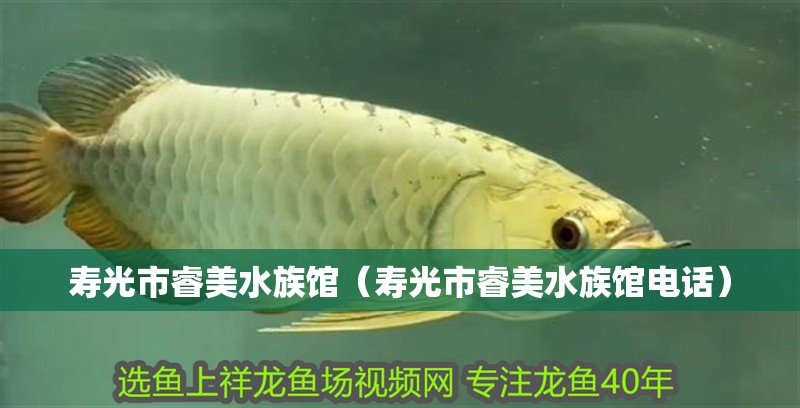 壽光市睿美水族館（壽光市睿美水族館電話）