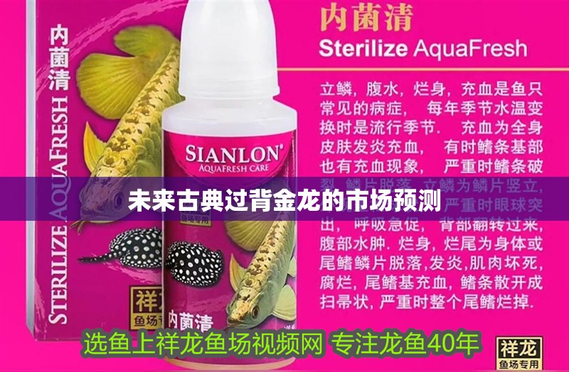 未來古典過背金龍的市場預測