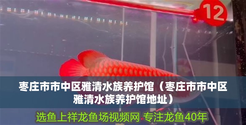 棗莊市市中區(qū)雅清水族養(yǎng)護(hù)館（棗莊市市中區(qū)雅清水族養(yǎng)護(hù)館地址）