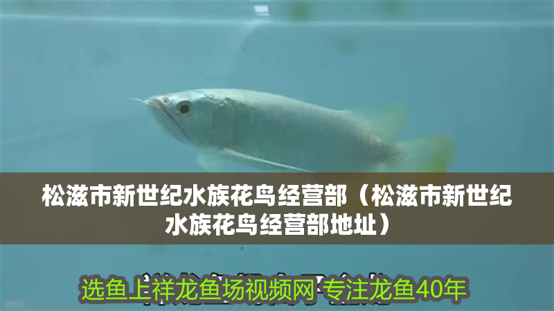 松滋市新世紀水族花鳥經營部（松滋市新世紀水族花鳥經營部地址）