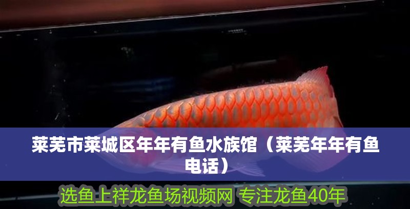 萊蕪市萊城區(qū)年年有魚水族館（萊蕪年年有魚電話）