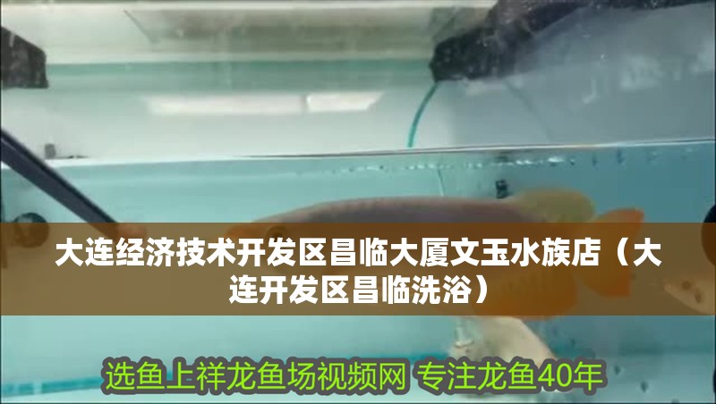 大連經濟技術開發區昌臨大廈文玉水族店（大連開發區昌臨洗浴）