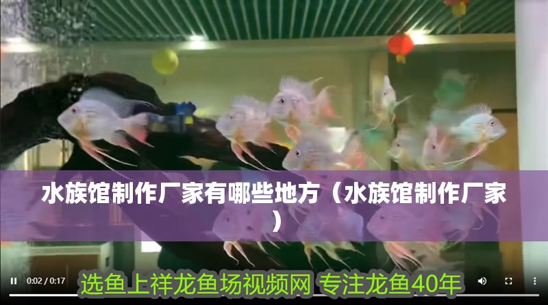 水族館制作廠家有哪些地方（水族館制作廠家）