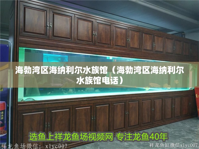 海勃灣區海納利爾水族館（海勃灣區海納利爾水族館電話）