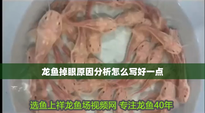 龍魚掉眼原因分析怎么寫好一點
