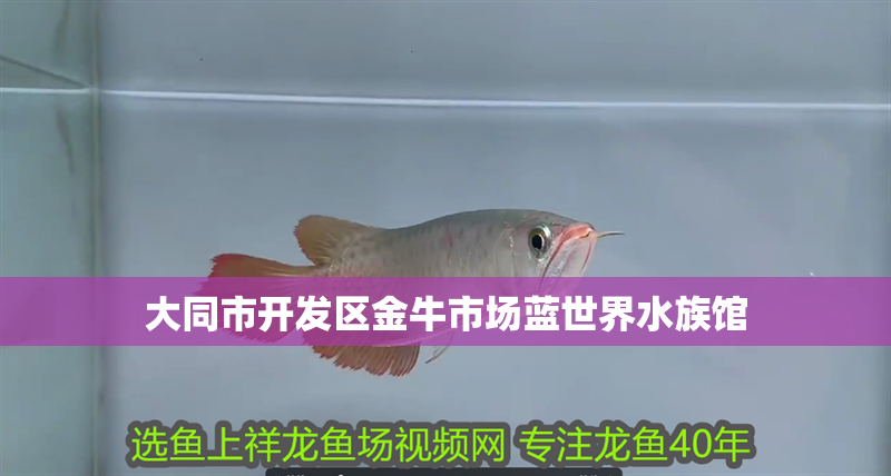 大同市開發區金牛市場藍世界水族館