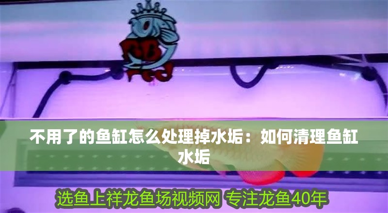 不用了的魚缸怎么處理掉水垢：如何清理魚缸水垢