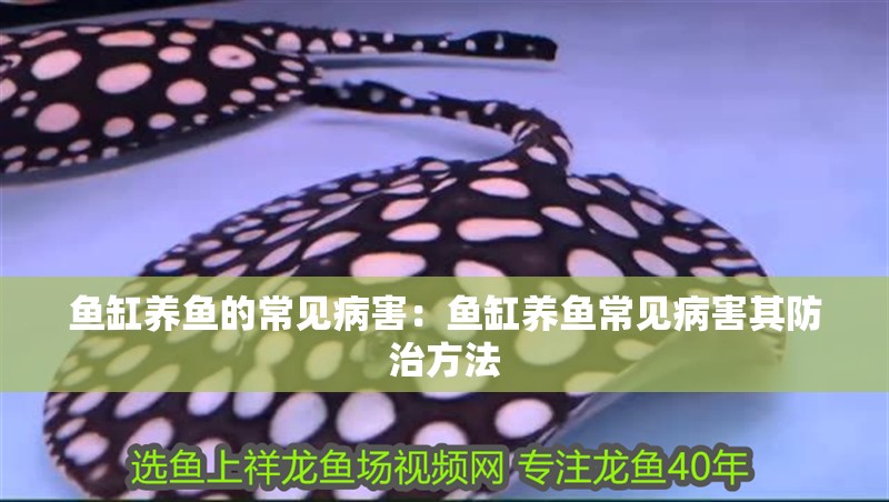 魚缸養魚的常見病害：魚缸養魚常見病害其防治方法