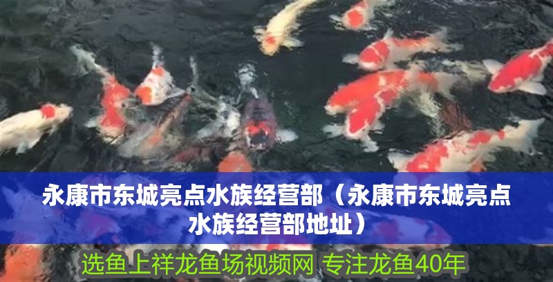永康市東城亮點(diǎn)水族經(jīng)營部（永康市東城亮點(diǎn)水族經(jīng)營部地址）