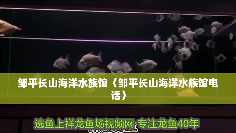 鄒平長山海洋水族館(鄒平長山海洋水族館電話) 全國水族館企業名錄 第2張 鄒平長山海洋水族館(鄒平長山海洋水族館電話) 鄒平長山海洋水族館(鄒平長山海洋水族館電話) 全國水族館企業名錄 第2張