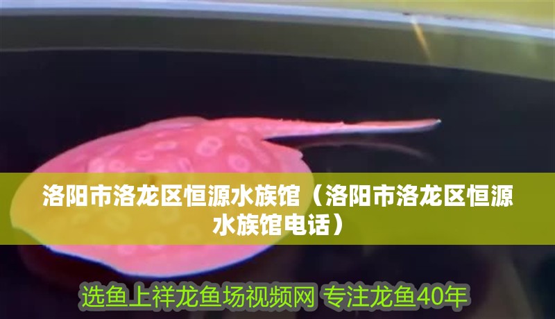 洛陽市洛龍區恒源水族館（洛陽市洛龍區恒源水族館電話）