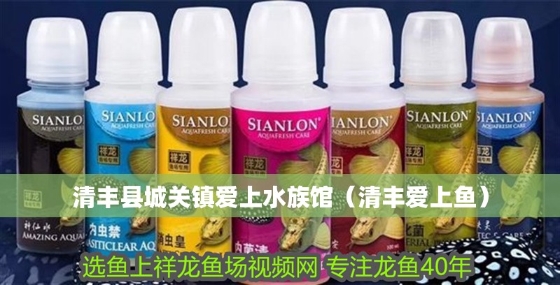 清豐縣城關鎮(zhèn)愛上水族館（清豐愛上魚）