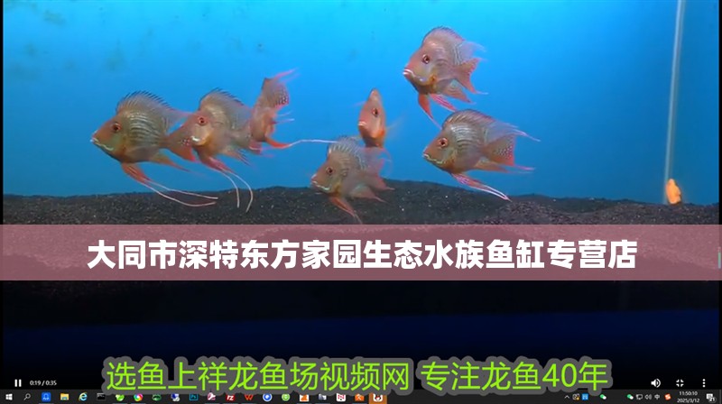 大同市深特東方家園生態水族魚缸專營店