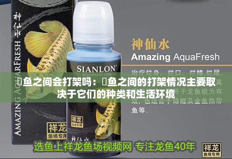 魟魚之間會打架嗎：魟魚之間的打架情況主要取決于它們的種類和生活環境