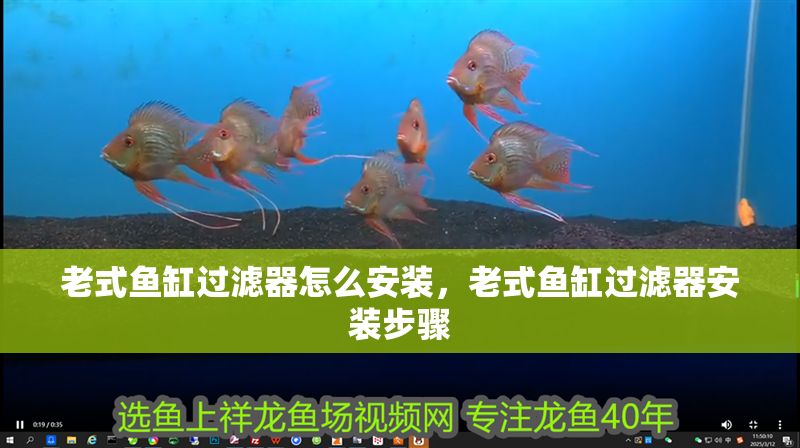 老式魚缸過濾器怎么安裝,老式魚缸過濾器安裝步驟 魚缸百科 第2張 老式魚缸過濾器怎么安裝,老式魚缸過濾器安裝步驟 老式魚缸過濾器怎么安裝,老式魚缸過濾器安裝步驟 魚缸百科 第2張