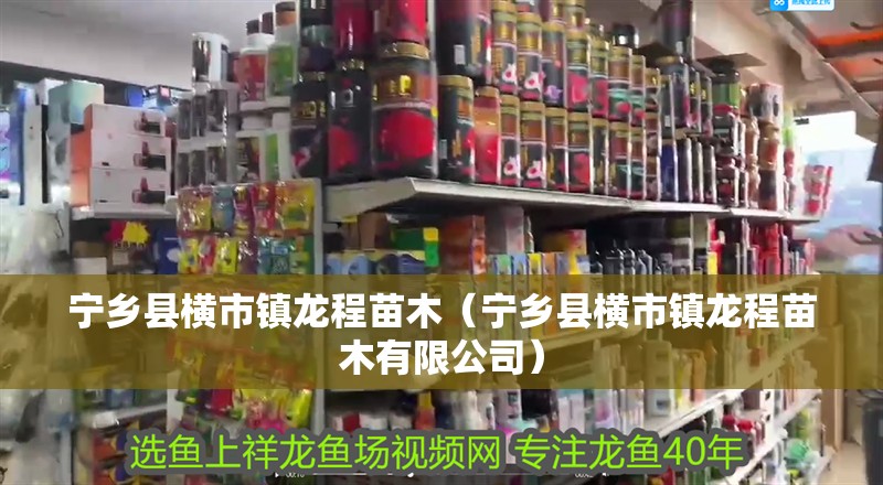 寧鄉縣橫市鎮龍程苗木（寧鄉縣橫市鎮龍程苗木有限公司）