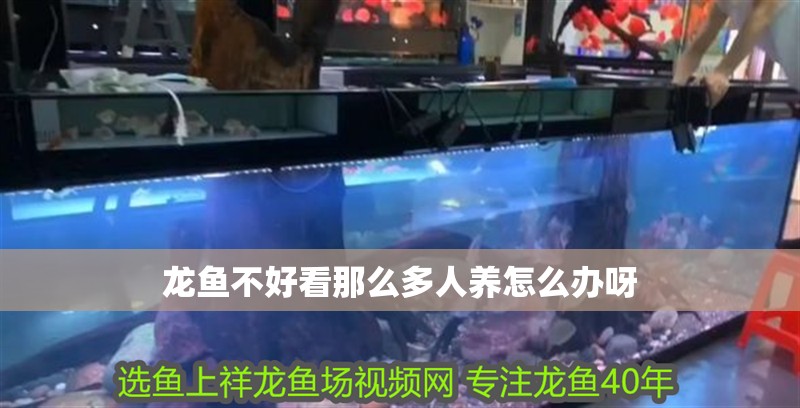 龍魚不好看那么多人養怎么辦呀