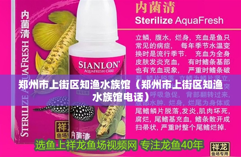 鄭州市上街區知漁水族館（鄭州市上街區知漁水族館電話）