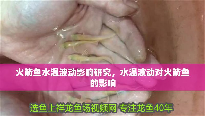 火箭魚水溫波動影響研究，水溫波動對火箭魚的影響
