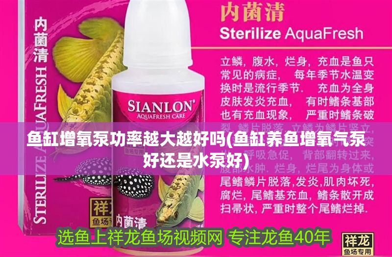 魚缸增氧泵功率越大越好嗎(魚缸養魚增氧氣泵好還是水泵好)