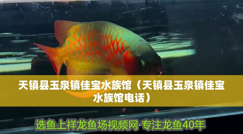 天鎮縣玉泉鎮佳寶水族館（天鎮縣玉泉鎮佳寶水族館電話）