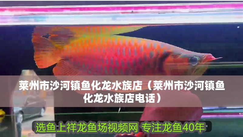 萊州市沙河鎮魚化龍水族店（萊州市沙河鎮魚化龍水族店電話）