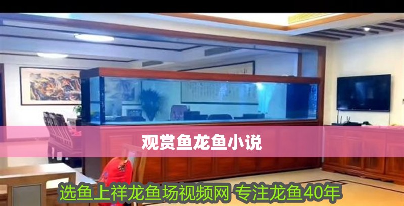 觀賞魚龍魚小說