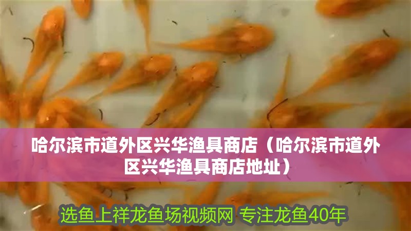 哈爾濱市道外區興華漁具商店（哈爾濱市道外區興華漁具商店地址）