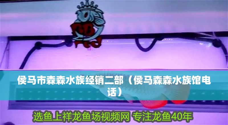 侯馬市森森水族經銷二部（侯馬森森水族館電話）