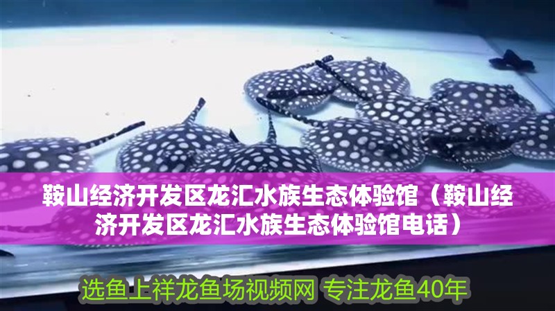 鞍山經濟開發區龍匯水族生態體驗館（鞍山經濟開發區龍匯水族生態體驗館電話）