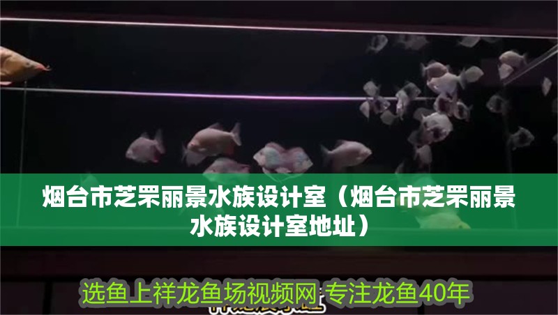 煙臺市芝罘麗景水族設計室（煙臺市芝罘麗景水族設計室地址）