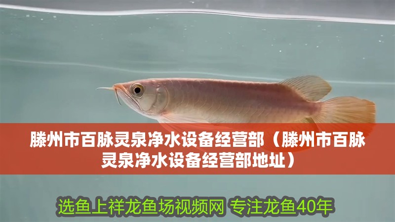 滕州市百脈靈泉凈水設備經營部（滕州市百脈靈泉凈水設備經營部地址）